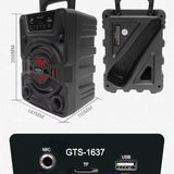 Outdoor Speaker Karaoke With Wired Microphone